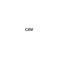 Cav Empt