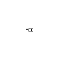 YEEZY